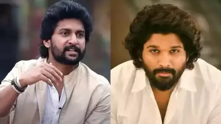 Telugu actor Nani came in support of Allu Arjun, said - one person is not responsible for this