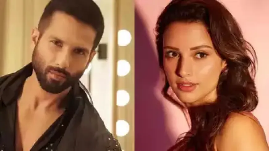 Shahid Kapoor-Tripti's action film will be released on this day, the producers have revealed the date